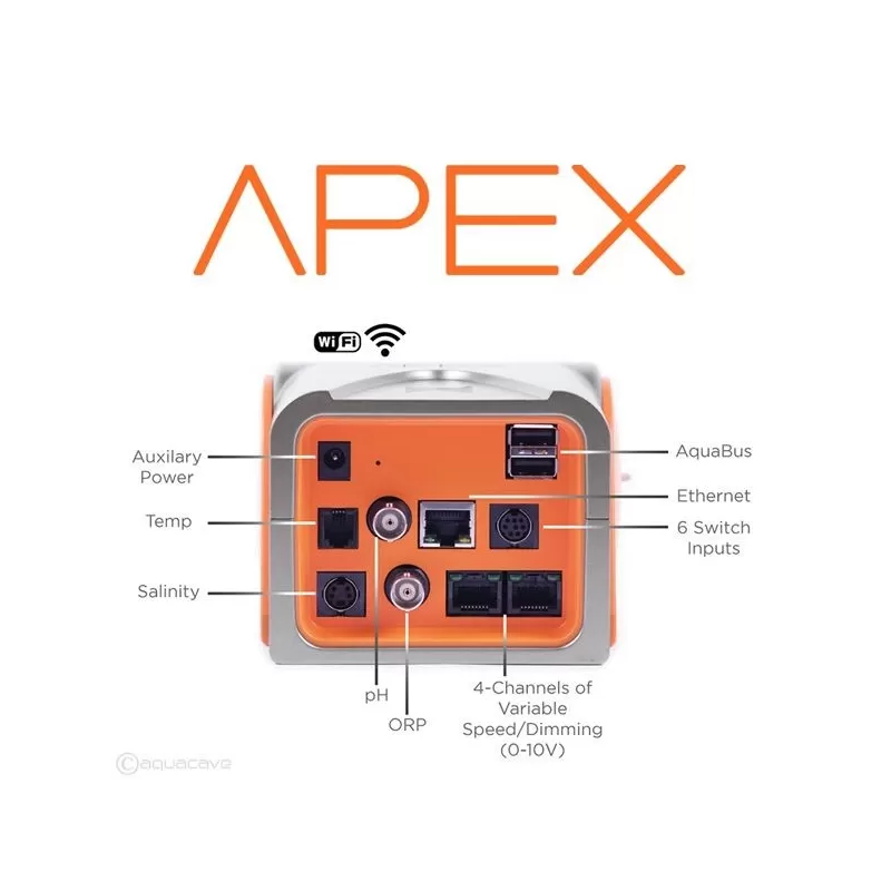 Apex Unit Apex Unit