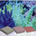Korallen Zucht Automatic Elements Iron 5pcs