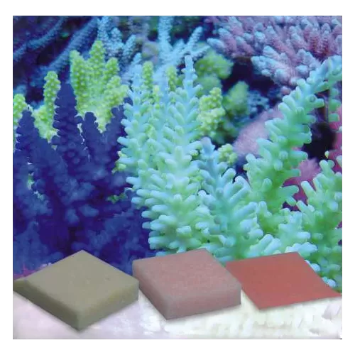 Korallen Zucht Automatic Elements B Balance 5pcs