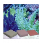 Korallen Zucht Automatic Elements K-Balance 5pcs