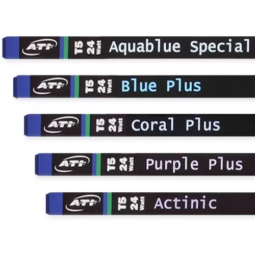 ATI T5 Actinic 80 watt | Coralandfishstore.nl
