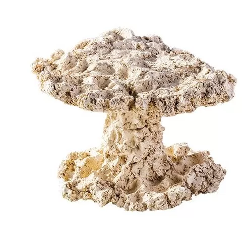 Arka Mushroom 20cm