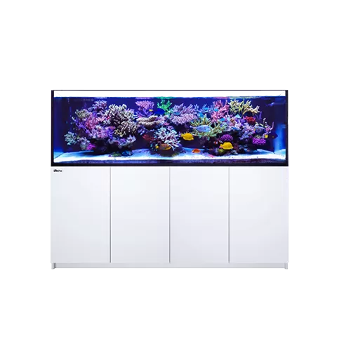Red Sea REEFER 3XL 900 Wit