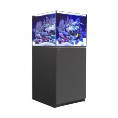 Red Sea REEFER XL 200 Zwart