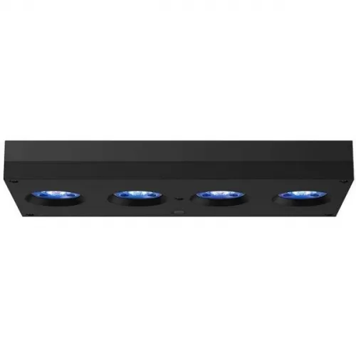 AI Hydra 64 HD Led Black