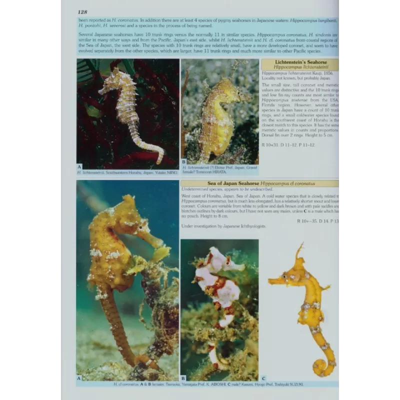 Seahorses and their Relatives Seahorses and their Relatives
