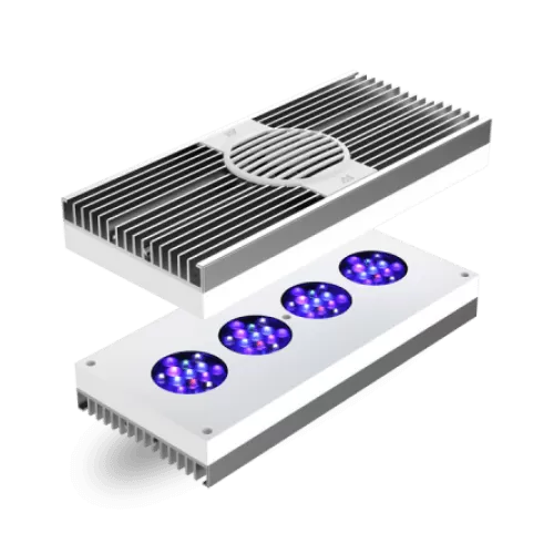 AI Hydra 64 HD LED White/Silver