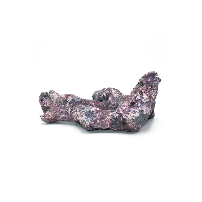 Dutch Reef Rock Bones (Dry) p/kg Dutch Reef Rock Bones (Dry) p/kg