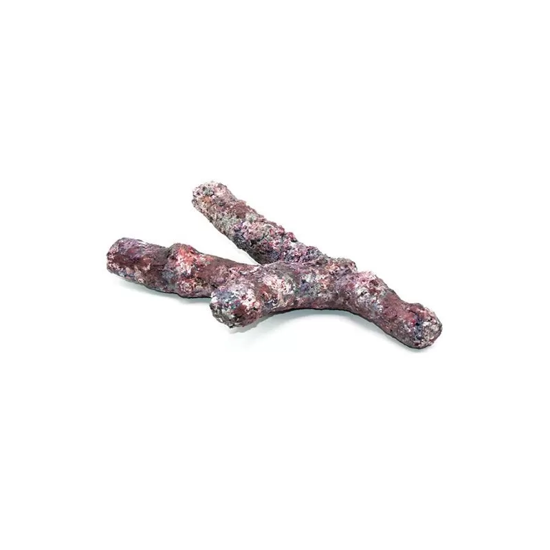 Dutch Reef Rock Bones (Dry) p/kg Dutch Reef Rock Bones (Dry) p/kg