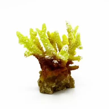 Kunstkoraal Acropora Geel