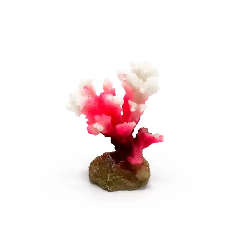 Kunstkoraal Pocillopora Roze/Wit