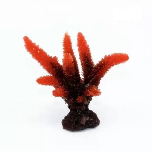 Kunstkoraal Acropora Rood