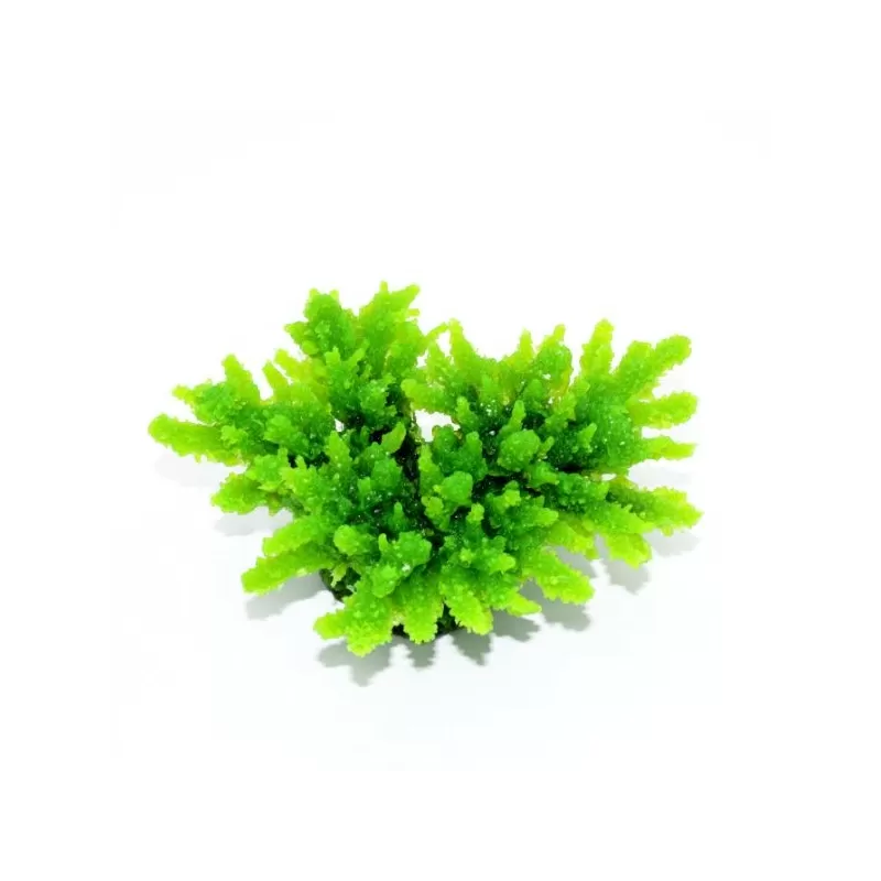 Kunstkoraal Acropora Groen 