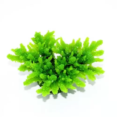 Kunstkoraal Acropora Groen 