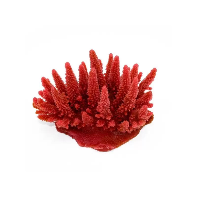 Kunstkoraal Acropora Rood