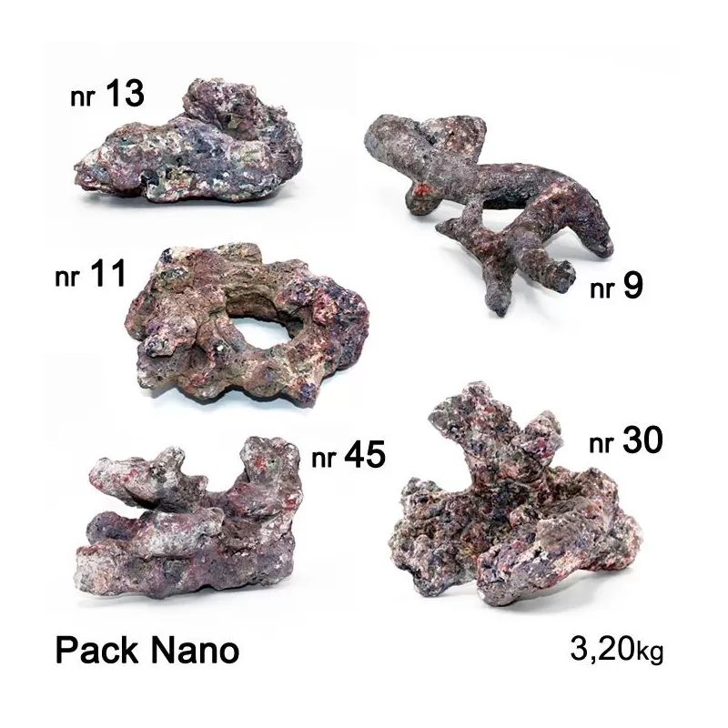 Dutch Reef Rock Pack Nano