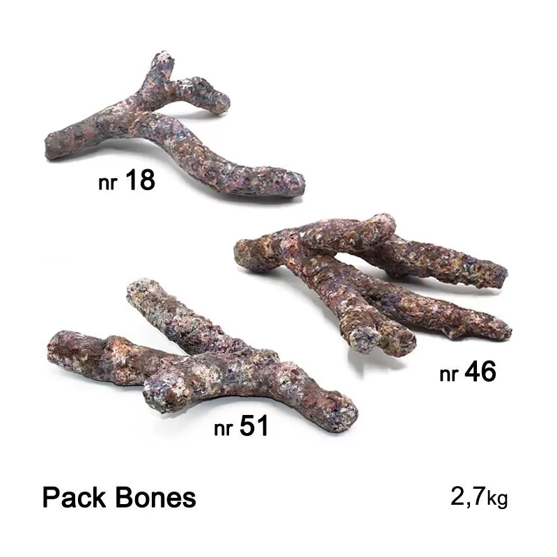 Dutch Reef Rock Pack Bones