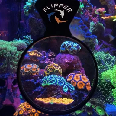 Flipper Magnified 3 NANO Viewer