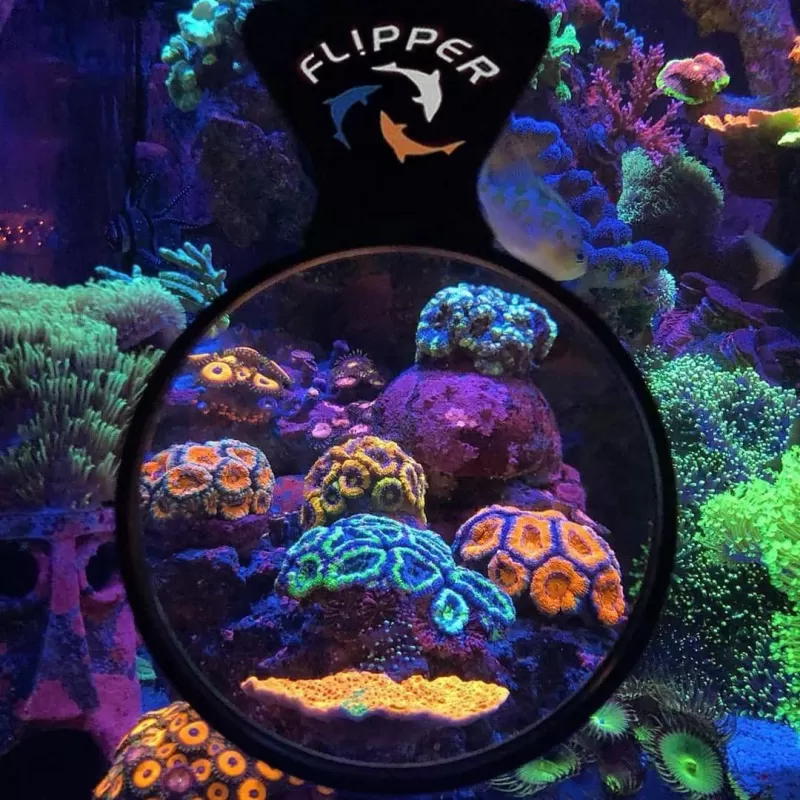 Flipper Magnified 3 NANO Viewer Flipper Magnified 3 NANO Viewer