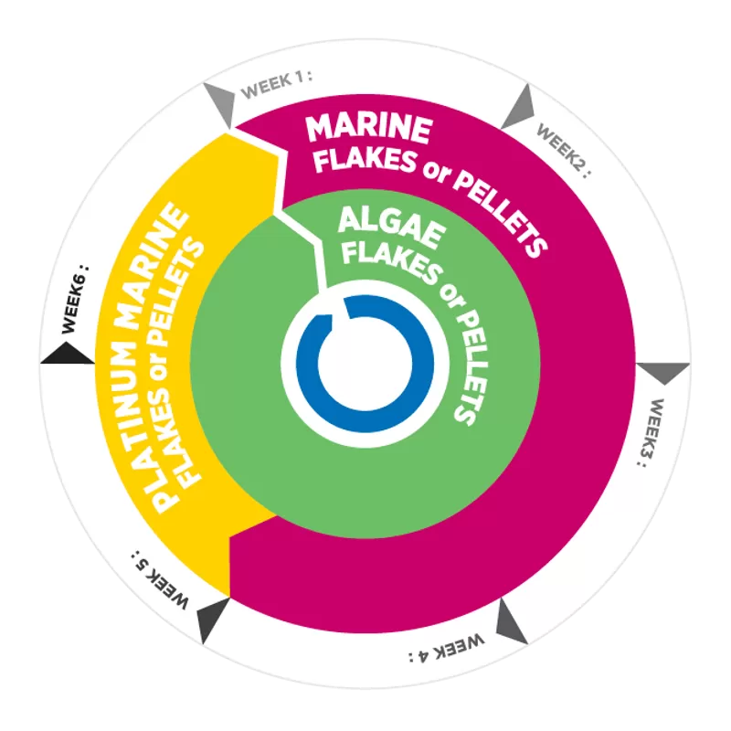 Vitalis Platinum Marine Pellets XS 1mm 70g Vitalis Platinum Marine Pellets XS 1mm 70g