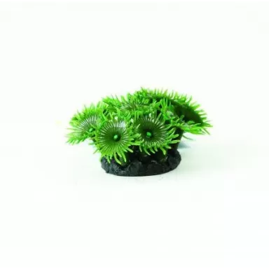 Kunstkoraal palythoa groen 3 5x3 5x4 5