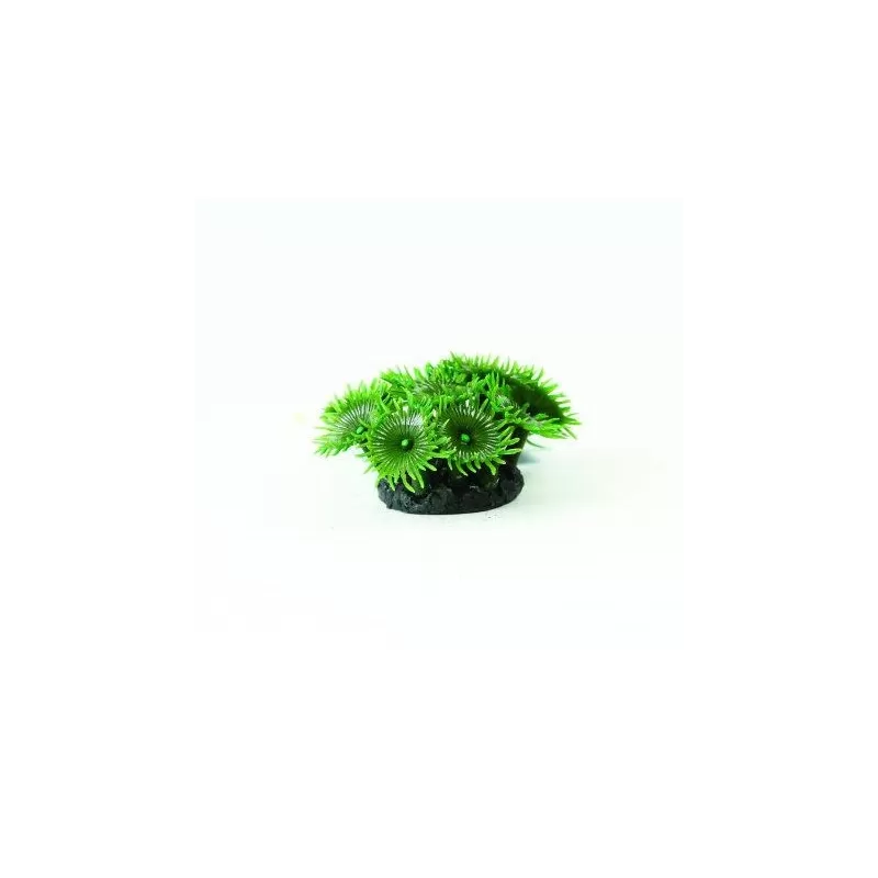 Kunstkoraal palythoa groen 3 5x3 5x4 5