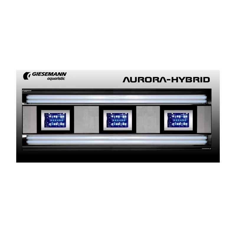 Giesemann Aurora Hybrid 600 Giesemann Aurora Hybrid 600