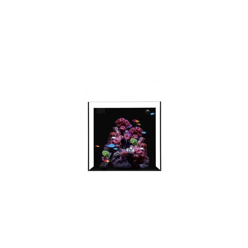 Waterbox Cube 20 Black Waterbox Cube 20 Black