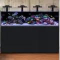Waterbox Reef LX 190.4 Black