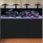 Waterbox Reef LX 230.5 Black
