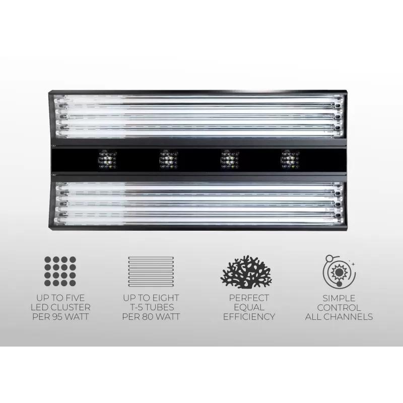 Giesemann Aurora V8 900mm - White