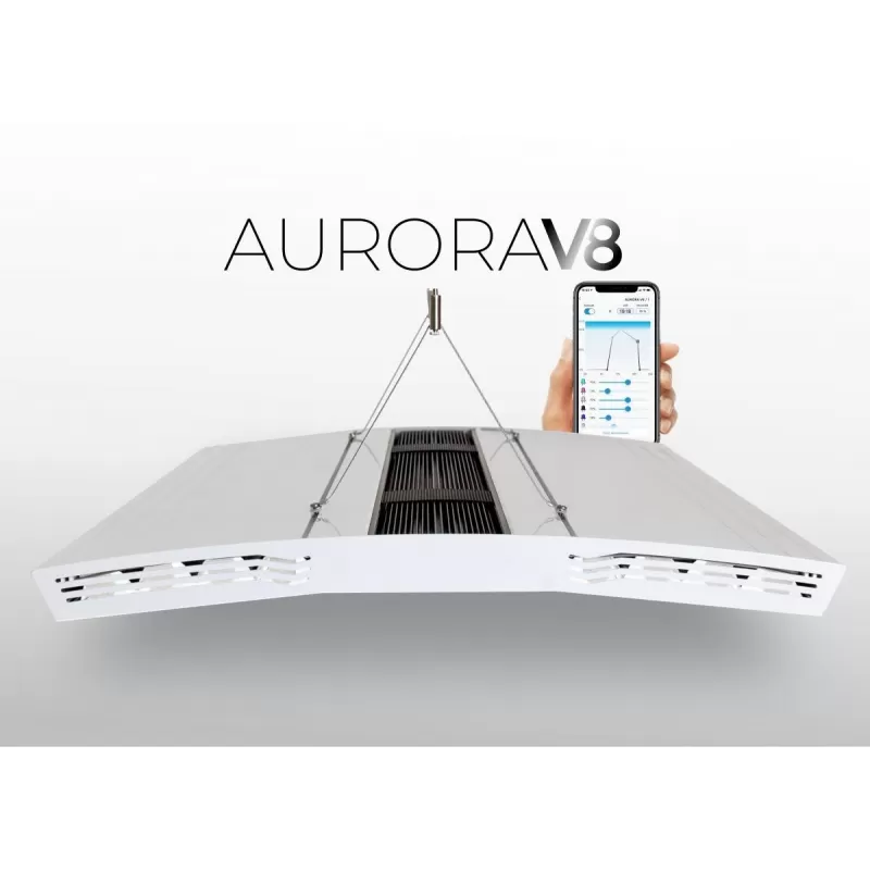 Giesemann Aurora V8 900mm Irridium