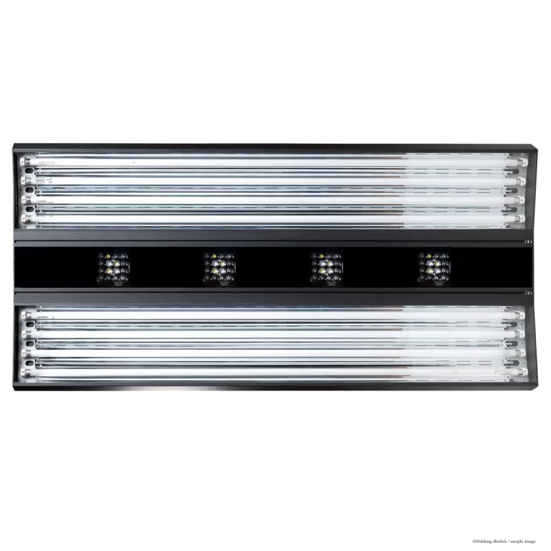 Giesemann Aurora V8 1500mm Pure Giesemann Aurora V8 1500mm Pure