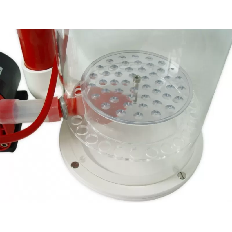 Royal Exclusiv Bubble King DeLuxe 200 Internal RD3 Speedy Royal Exclusiv Bubble King DeLuxe 200 Internal RD3 Speedy