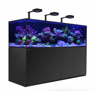 Red Sea Reefer-S Deluxe 1000 Zwart (incl 3 X RL 160)