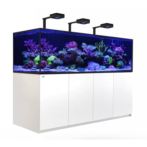 Red Sea Reefer S Deluxe 1000 Wit incl 3 X RL 160