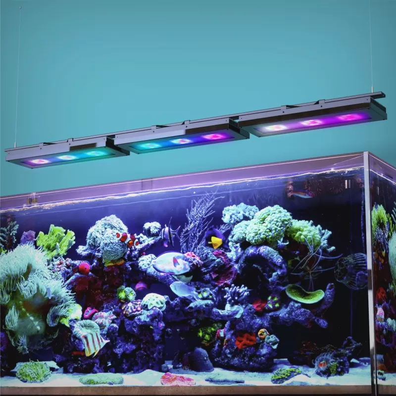 Reef Factory Reef Flare L Black 180W Reef Factory Reef Flare L Black 180W