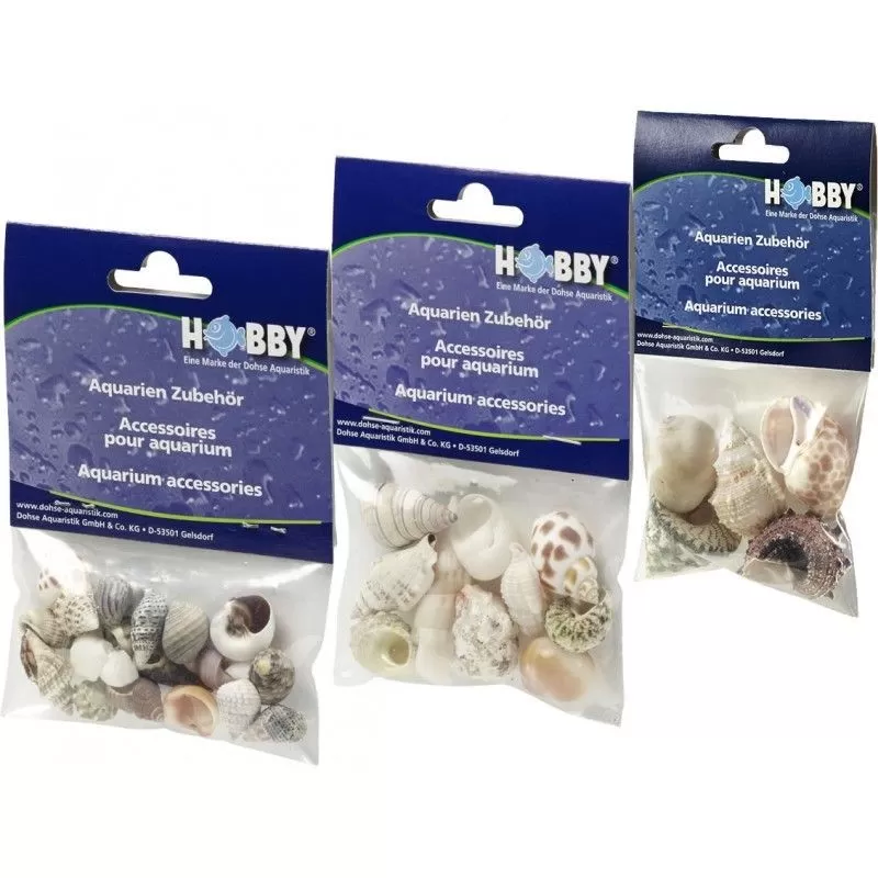 Hobby Decoratie Sea Shells Set S - 20 stuks