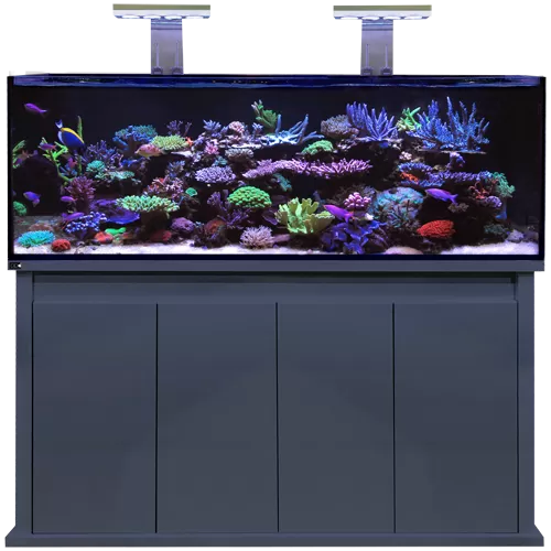D D Reef Pro 1500 Anthracite