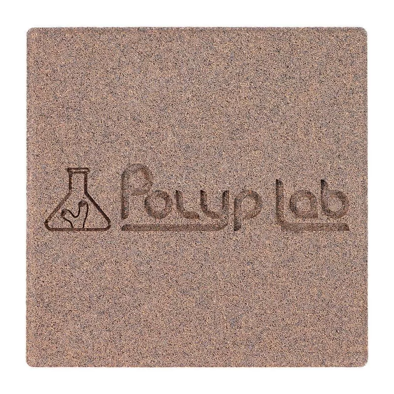 Polylab Genesis Rock Pack of 2 Polylab Genesis Rock Pack of 2