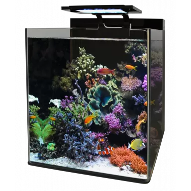 Blue marine reef 90 aquarium