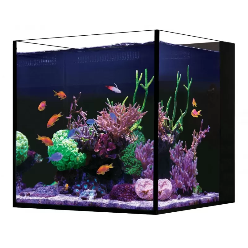 Red Sea Desktop Cube with cabinet White Red Sea Desktop Cube with cabinet White