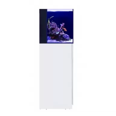Red Sea Desktop Cube with cabinet White