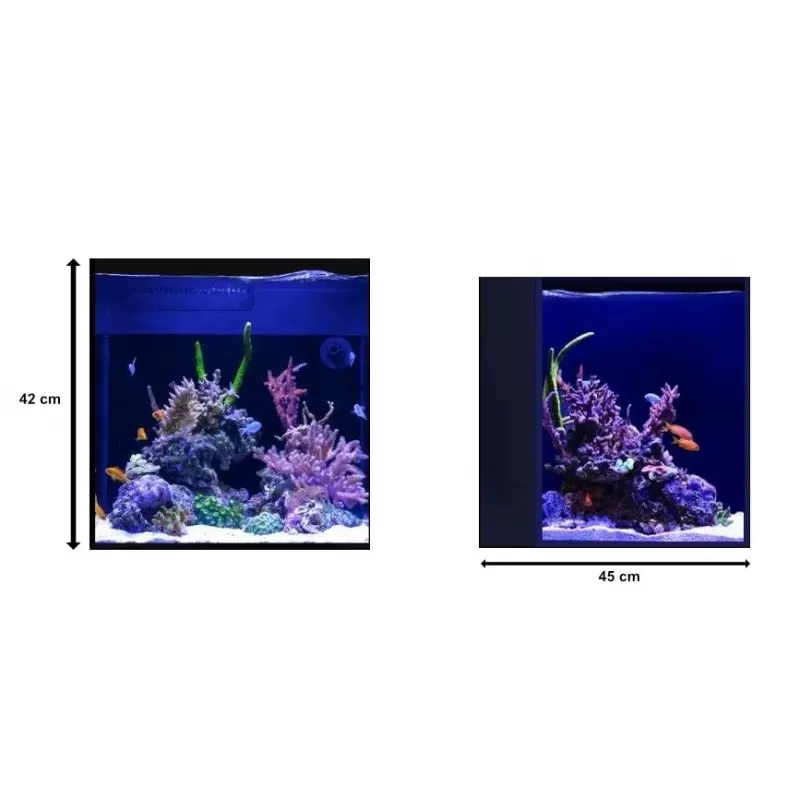 Red Sea Desktop Cube tank Red Sea Desktop Cube tank