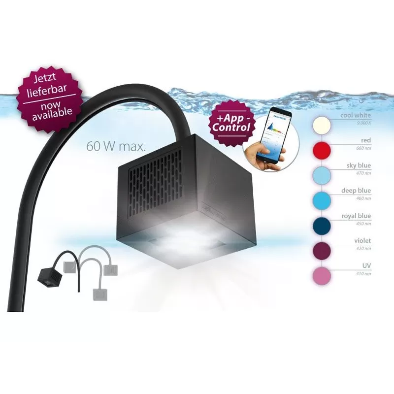 Aqua medic Qube 60 Aqua medic Qube 60