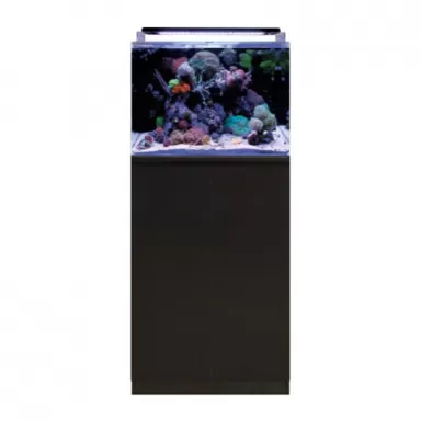 Blue marine reef 120 aquarium