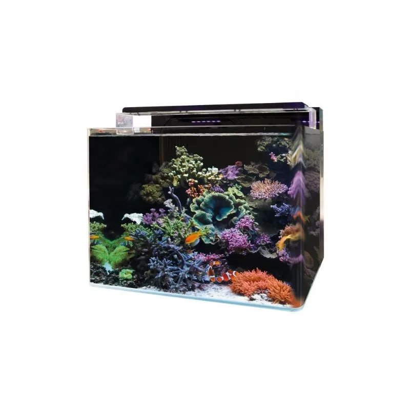 Blue marine reef 120 aquarium Blue marine reef 120 aquarium