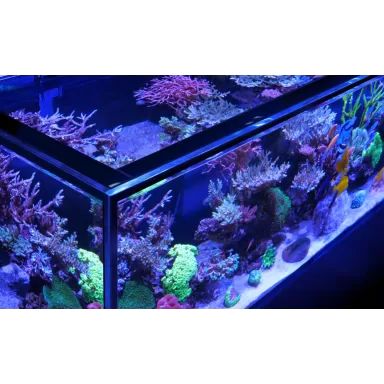 Red Sea REEFER Peninsula G2 350 Kopen? | Coralandfishstore