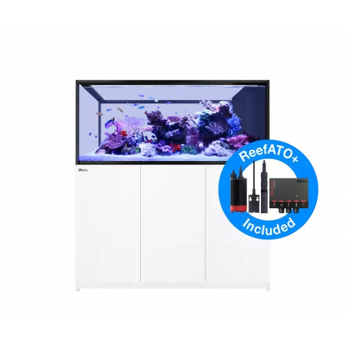 Red Sea Peninsula G2+ S-700-System – Weiß | Coralandfishstore.nl