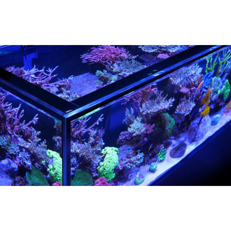 Red sea REEFER Peninsula G2+ S-950-System – Weiß | Coralandfishstore.nl Red sea REEFER Peninsula G2+ S-950-System – Weiß | Coralandfishstore.nl